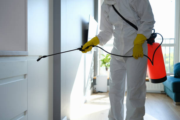 Best Post-Flood Mold Remediation in Home Gardens, CA